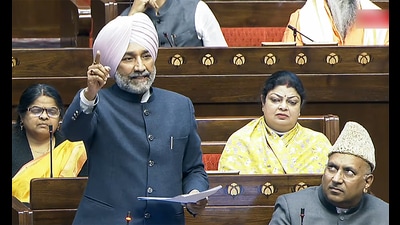 BJP MP Satnam Singh Sandhu speaks in Rajya Sabha. (Sansad TV)