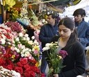 Lucknow celebrates as rose prices soar