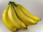 Bananas can be the most gut-healthy snack option, shares Dr Vatsya. 