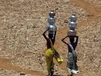 Water scarcity is connected to climate and environmental degradation. Along with the entire world, India too is witnessing a quick deterioration of the environment (AP)
