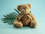 Teddy Day 2026: Check out the history and significance of the softest, most adorable day of Valentine's Week.(Pexel)