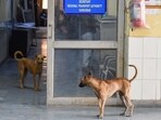 CSR-backed centre and new operators began work in January; officials expect results soon, while locals say rising population keeps seniors and kids indoors. (HT Archive)