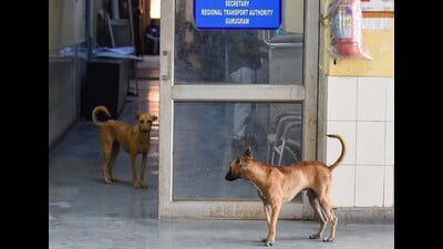 CSR-backed centre and new operators began work in January; officials expect results soon, while locals say rising population keeps seniors and kids indoors. (HT Archive) CSR-backed centre and new operators began work in January; officials expect results soon, while locals say rising population keeps seniors and kids indoors. (HT Archive)