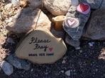 A rock left by supporters reads "please pray, bring her home" at the home of Nancy Guthrie.
