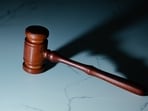 The prosecutor stated that Laveugle had worked in several roles, including in schools, as a private tutor, and as a cave exploration guide.