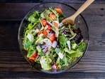 The burger salad recide by Vanshika Khurana is high in protein but low in calories. 