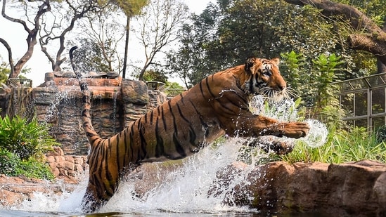 Representational file image. (PTI Photo/Kunal Patil) (PTI)