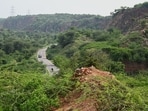 SC puts Hry’s zoo safari on hold till Aravallis are clearly defined