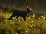 A still from the Oscar-winning animated film Flow (2024), about a cat in a post-apocalyptic world.