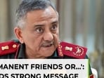 CDS Chauhan: Damaged runways & crippled air defenses 'don't make a lasting victory'