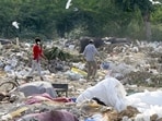 The biggest share was allotted to sanitation at <span class='webrupee'>₹</span>4,797.78 crore. The biggest share was allotted to sanitation at <span class='webrupee'>₹</span>4,797.78 crore.