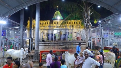 <p>మహాశివరాత్రి ఉత్సవాల్లో భాగంగా భీమేశ్వరాల యంలో భక్తులు దర్శనం చేసుకునేందుకు వీలుగా ఏర్పాట్లు చేశారు.</p> 