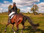 On January 11, He Jiaolong fell from a horse during the shoot of an agricultural e-commerce programme. On January 11, He Jiaolong fell from a horse during the shoot of an agricultural e-commerce programme.