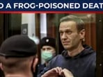 How does a frog toxin kill a man in prison? Alexei Navalny’s widow exposes the paralyzing horror How does a frog toxin kill a man in prison? Alexei Navalny’s widow exposes the paralyzing horror