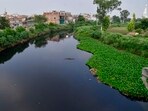 The untreated effluents from such units are being discharged into municipal sewer lines, eventually flowing into the polluted Buddha Nullah. (HT photo) The untreated effluents from such units are being discharged into municipal sewer lines, eventually flowing into the polluted Buddha Nullah. (HT photo)