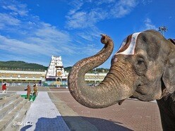 టీటీడీ