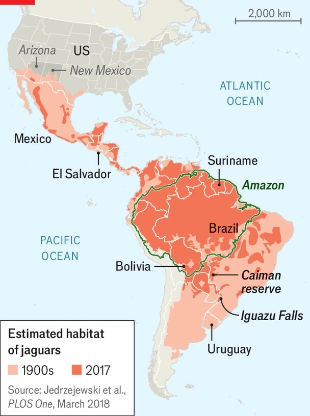 map map