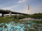 Biomedical waste dumped along the banks of the Yamuna near Signature Bridge during Covid time. (HT Archive)