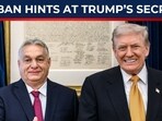 Pro-Putin NATO rebel drops major clue on Trump's chilling plan Pro-Putin NATO rebel drops major clue on Trump's chilling plan