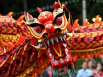 Lunar New Year celebrations 