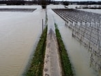 This aerial photo shows a flooded vineyard following heaving rains in Le Tourne on February 18, 2026. Charente-Maritime, Gironde, Lot-et-Garonne and Maine-et-Loire remain on red alert for flooding until at least February 19, 2026,