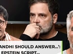 BJP counters Congress amid Rahul Gandhi’s Epstein allegations BJP counters Congress amid Rahul Gandhi’s Epstein allegations
