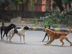 Till January this year, Punjab has logged 32,875 cases. (HT)