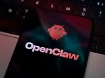 OpenClaw agents work as virtual personal assistants that can do tasks in the real world.