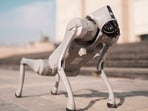 The Unitree robodog on Galgotias University campus.