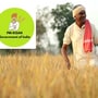  పీఎం కిసాన్ యోజన