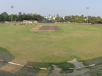 Around 10 to 15 others, including players and ground staff, were also stung in the attack. Around 10 to 15 others, including players and ground staff, were also stung in the attack.