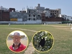 The Rahul Sapru ground in Shuklaganj (Unnao) where the incident took place; (inset) file photo of Manik Gupta and the beehive The Rahul Sapru ground in Shuklaganj (Unnao) where the incident took place; (inset) file photo of Manik Gupta and the beehive