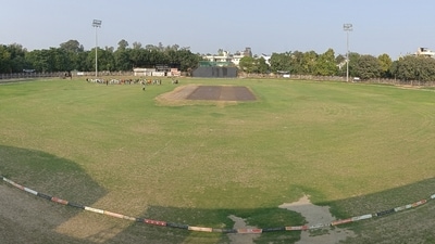 Around 10 to 15 others, including players and ground staff, were also stung in the attack. (Representative image/HT) Around 10 to 15 others, including players and ground staff, were also stung in the attack. (Representative image/HT)