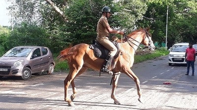 জাতীয় অশ্বারোহী চ্যাম্পিয়নশিপ থেকে নাম প্রত্যাহার করল কলকাতা মাউন্টেড পুলিশ জাতীয় অশ্বারোহী চ্যাম্পিয়নশিপ থেকে নাম প্রত্যাহার করল কলকাতা মাউন্টেড পুলিশ