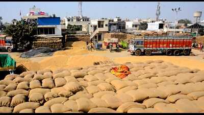 A view of a grain market near Sirhind road, in Patiala. (ANI FILE) A view of a grain market near Sirhind road, in Patiala. (ANI FILE)