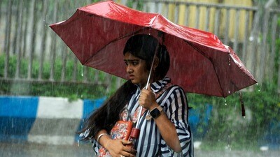 আগামী সপ্তাহে পশ্চিমবঙ্গের কয়েকটি জেলায় বৃষ্টি হতে পারে। (ফাইল ছবি, সৌজন্যে এএনআই) আগামী সপ্তাহে পশ্চিমবঙ্গের কয়েকটি জেলায় বৃষ্টি হতে পারে। (ফাইল ছবি, সৌজন্যে এএনআই)