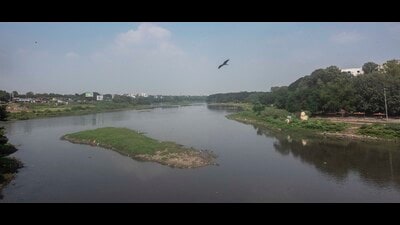 Earlier, Pimpri-Chinchwad MLA Shankar Jagtap had raised the issue of flood lines in the Maharashtra assembly, demanding that they be revised. (HT)