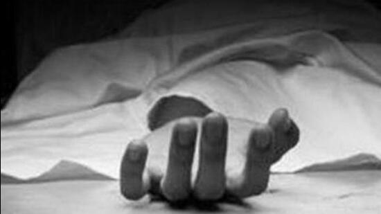 Sohana police have registered a case under Sections 281 (rash driving), 106(1) (causing death by negligence) and 324(4) (mischief causing damage) of the Bharatiya Nyaya Sanhita. (Getty Images/iStockphoto)