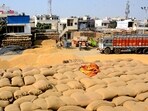 A view of a grain market near Sirhind road, in Patiala. (ANI FILE)