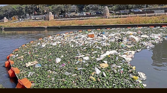 The floating waste travels downstream, severely affecting the river’s ecological balance. (HT)