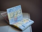 The official on Sunday said that while other visa services had been ongoing, tourist visas had generally been stopped except for urgent cases.