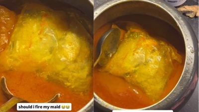 The video was shared by Saurav Devrani on Instagram. (@lifeofdevranii/Instagram) The video was shared by Saurav Devrani on Instagram. (@lifeofdevranii/Instagram)