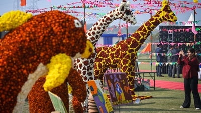 Gram it: Have you visited Palaash Mahotsav 2026 yet? If no, then must head to Asita Park where the Delhi Development Authority (DDA) is organising this annual flower festival, at present. Details of the event are listed below. (Photo: Sanchit Khanna/HT)