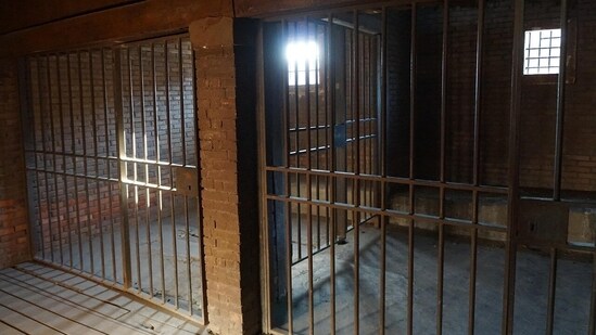 The court remanded him to custody until March 3. (Pixabay/ Representational)