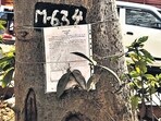 Baobab at Lokhandwala to be cut for Coastal Road raises concern Baobab at Lokhandwala to be cut for Coastal Road raises concern
