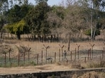 An Indian army soldier, accompanied by a robotic mule, carries out patrol and tactical drills near the Line of Control in Akhnoor sector, Jammu and Kashmir