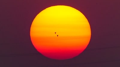 Gram it: A pair of birds flies past the setting sun on Monday evening. Delhi recorded a minimum temperature of 11.8 degrees Celsius on Monday morning, with the weather office predicting warmer days ahead. Are you too enjoying the sunsets in the city, till it gets too warm to handle? (Photo: Kamal Kishore/PTI)