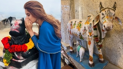 Why do we whisper wishes into Nandi's ears? (Photos: Instagram/rashathadani) Why do we whisper wishes into Nandi's ears? (Photos: Instagram/rashathadani)