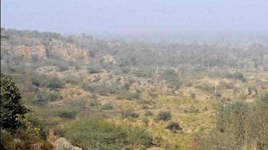 Complainant Vaishali Rana has stated that the alleged activity was being carried out without deterrence.