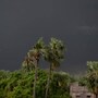 తెలంగాణలో వర్షం